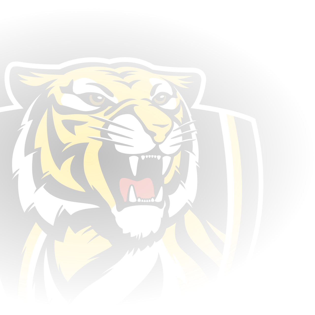 Official Afl Website Of The Richmond Football Club